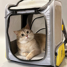 Load image into Gallery viewer, British Shorthair Cat Relaxing in Expandable Cat Backpack | MissyMoMo
