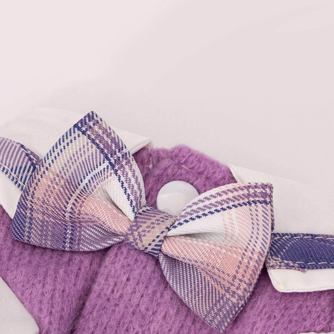 Hana Cat Dress | Purple Plaid Dress for Cats & Kittens | Cat Clothes | Dress for Pets | MissyMoMo