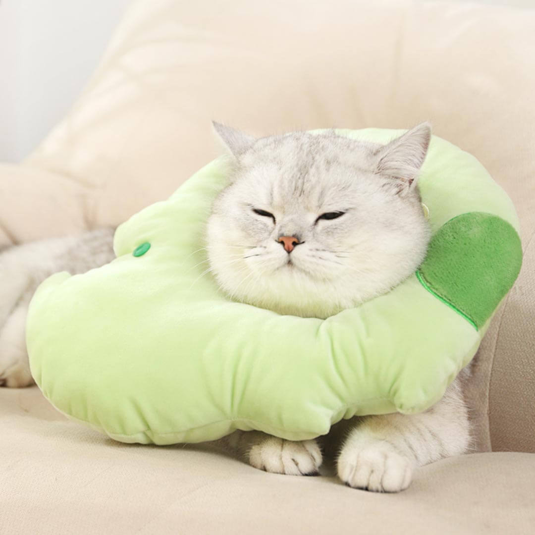 Hippo Elizabethan Collar | Cat with E Collar | MissyMoMo