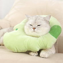 Load image into Gallery viewer, Hippo Elizabethan Collar | Cat with E Collar | MissyMoMo
