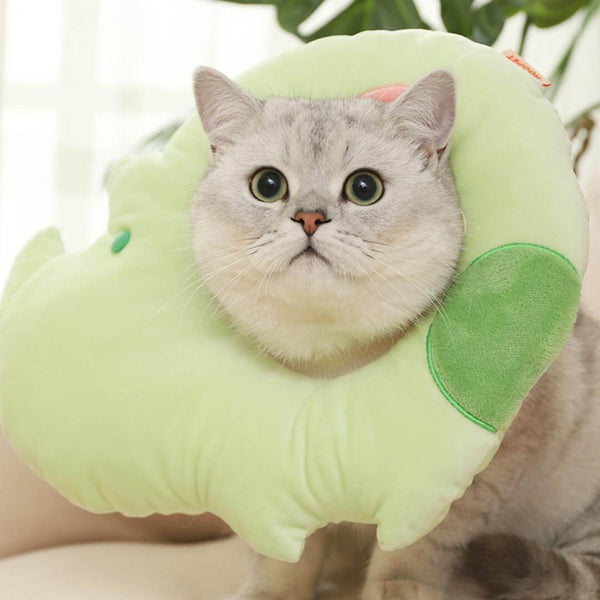 Hippo Elizabethan Collar | Cat with E Collar | MissyMoMo