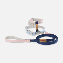 Load image into Gallery viewer, Honey Bunny H-Style Cat Harness &amp; Leash Set | MissyMoMo
