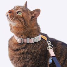 Load image into Gallery viewer, Cat on Honey Bunny H-Style Cat Harness | MissyMoMo

