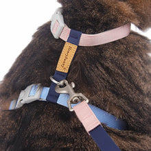 Load image into Gallery viewer, Cat on Honey Bunny H-Style Cat Harness | MissyMoMo
