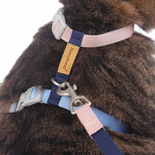 Cat on Honey Bunny H-Style Cat Harness | MissyMoMo