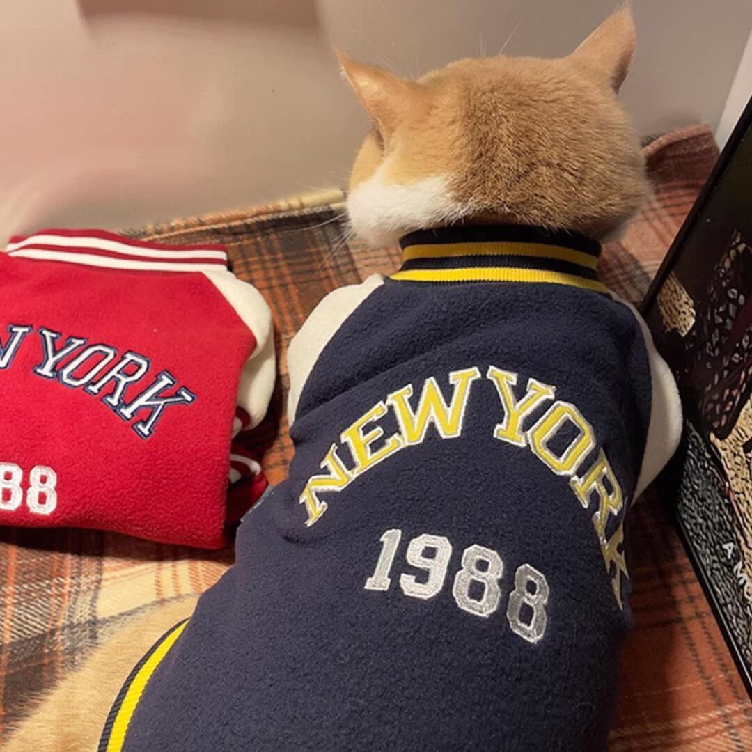 Cat in Bomber Jacket | MissyMoMo