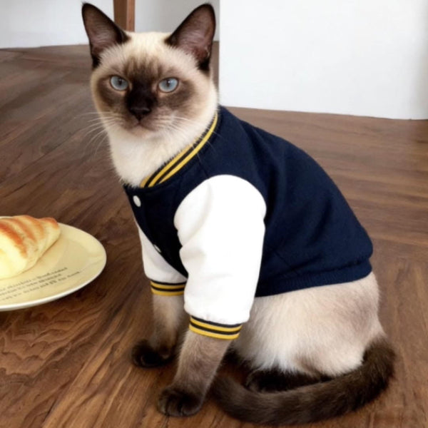 Siamese Cat in Baseball Jacket | MissyMoMo