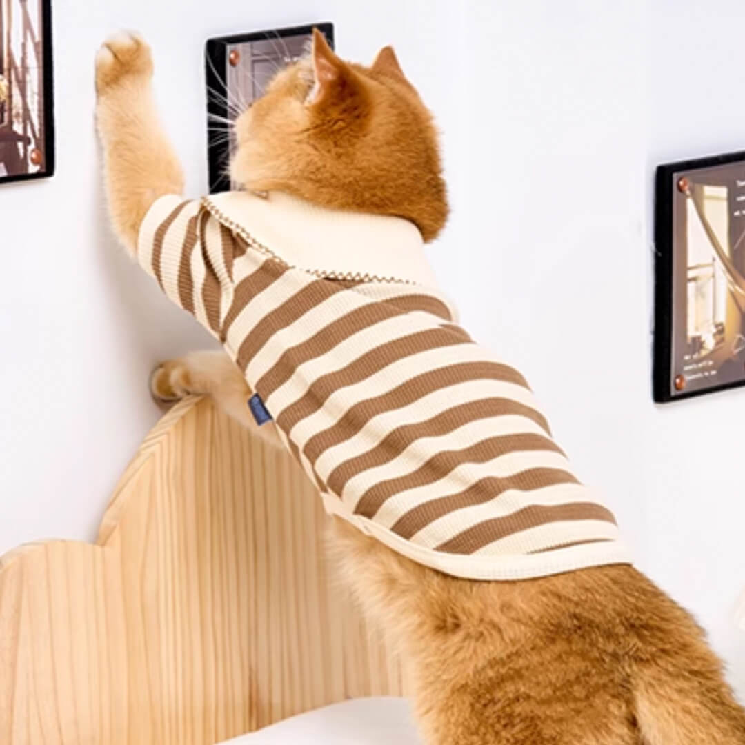 Cat in Brown Striped Shirt | Cat Clothes | MissyMoMo