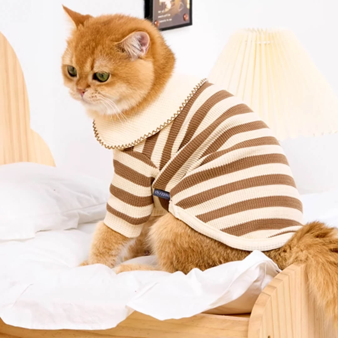 Cat in Brown Striped Shirt | Cat Clothes | MissyMoMo