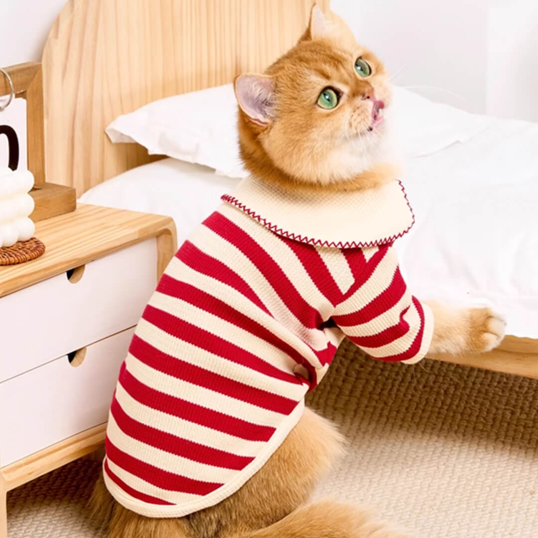 Cat in Striped Shirt | Cat Clothes | MissyMoMo