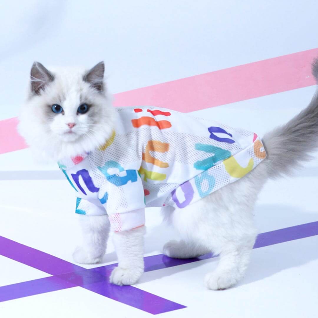 Hypurr Cat T-Shirt | T-Shirt for Cats | Cat in Shirt | MissyMoMo