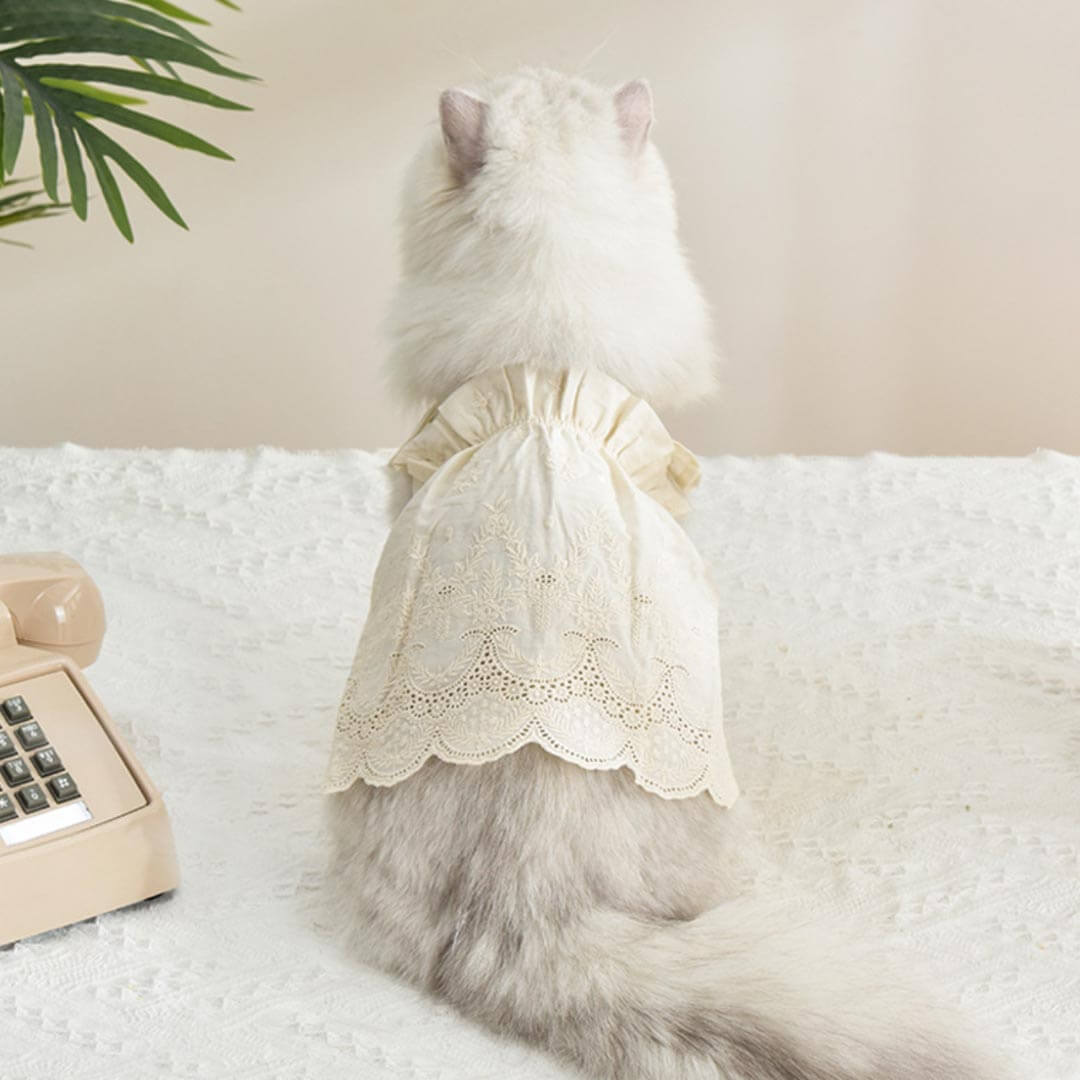 Jasmine Cat Dress | Cat in Beige Dress | Cat Clothes | MissyMoMo