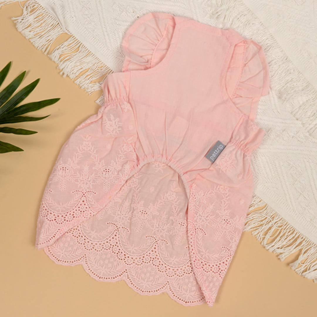 Jasmine Cat Dress | Dresses for Cats | Cat Clothes | MissyMoMo