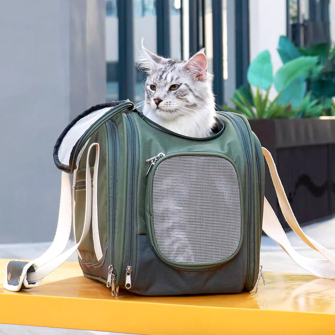 Cat Sitting in Kitty Chic Expandable Airline-Approved Cat Carrier | MissyMoMo