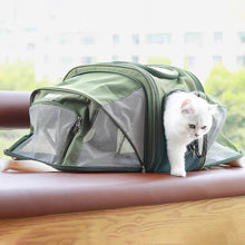 Load image into Gallery viewer, Kitty Chic Expandable Airline-Approved Cat Carrier with Cat Exiting | MissyMoMo
