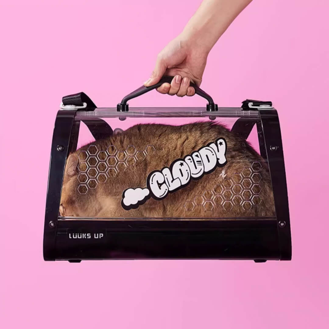 KittyMoMo Black Clear Hard Cat Carrier | MissyMoMo