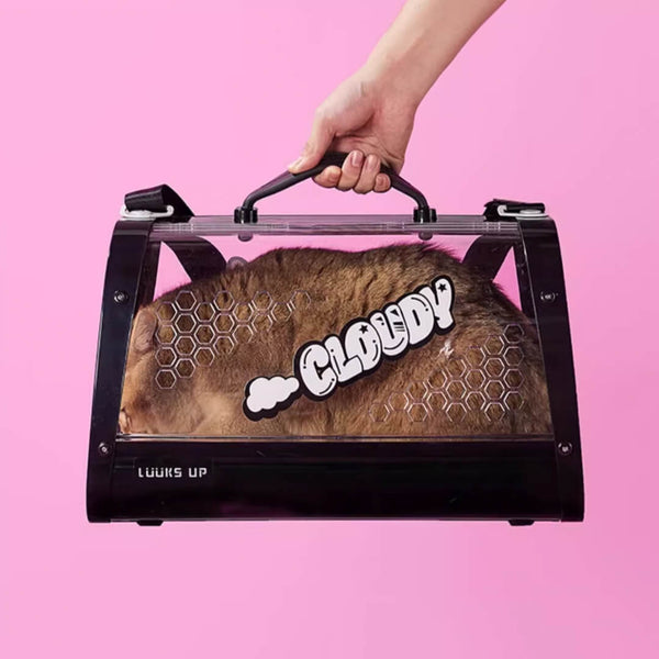 KittyMoMo Black Clear Hard Cat Carrier | MissyMoMo