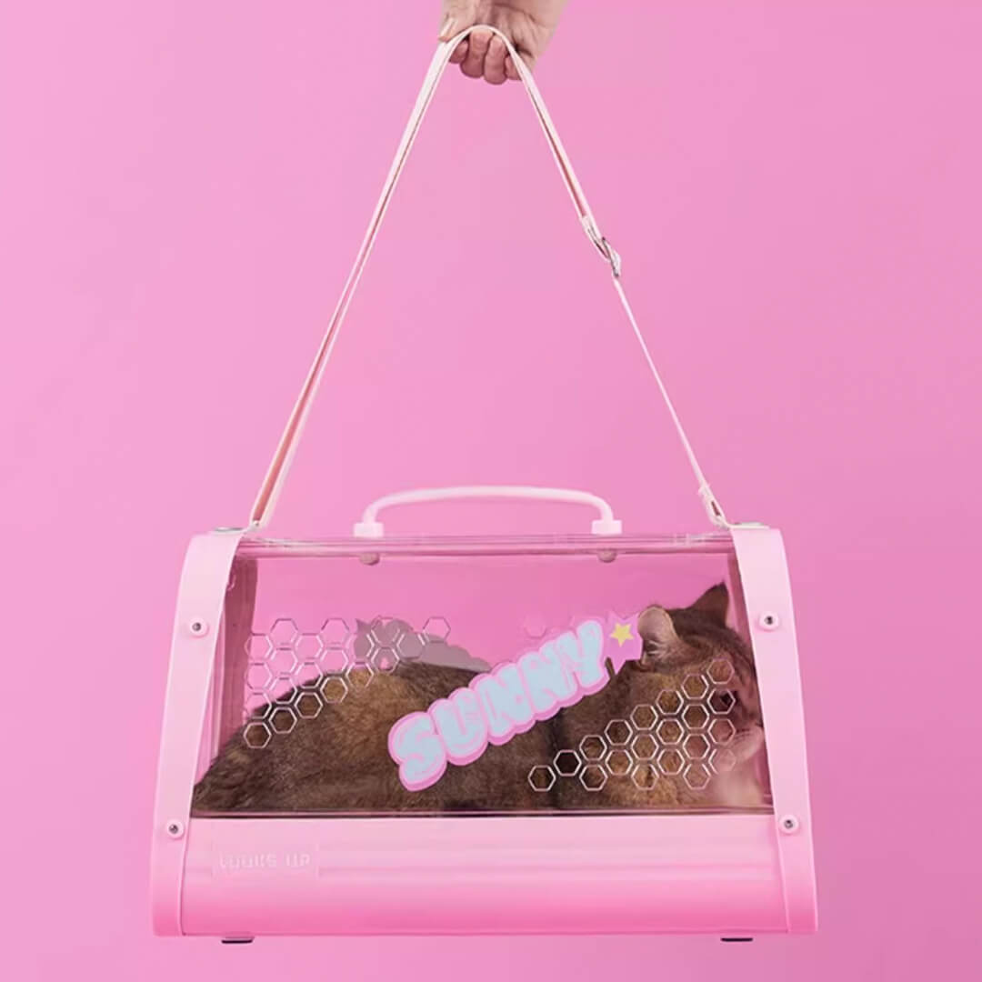 Carrying Cat with KittyMoMo Pink Clear Hard Cat Carrier | MissyMoMo