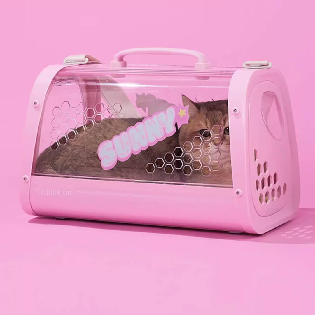Cat Inside KittyMoMo Pink Clear Hard Cat Carrier | MissyMoMo