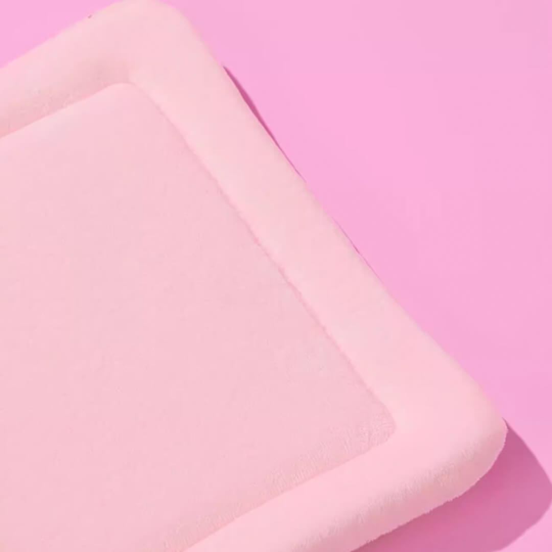 Bottom Pad of KittyMoMo Pink Clear Hard Cat Carrier | MissyMoMo