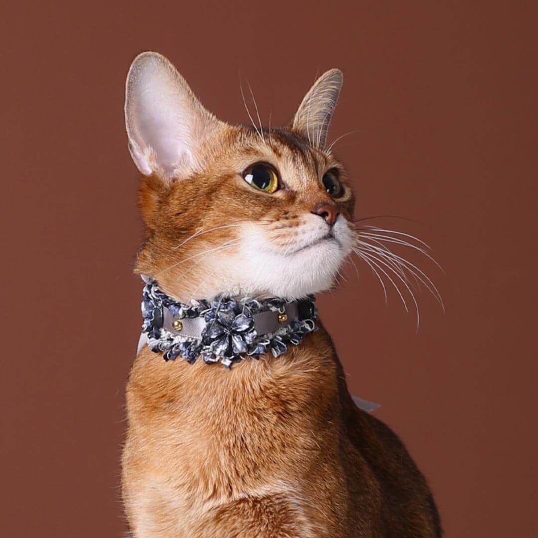 La Lune Cat Collar | Luxurious Accessories for Cats | MissyMoMo