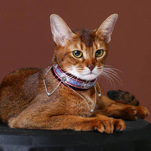 Load image into Gallery viewer, La Nuit Cat Collar | Luxurious Accessories for Cats | MissyMoMo
