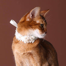 Load image into Gallery viewer, La Perle Cat Collar | Luxurious Accessories for Cats | MissyMoMo
