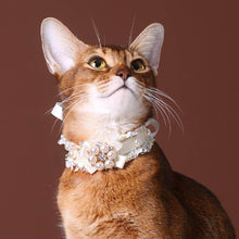 Load image into Gallery viewer, La Perle Cat Collar | Luxurious Accessories for Cats | MissyMoMo
