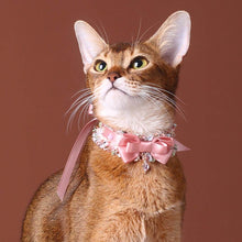 Load image into Gallery viewer, La Rose Cat Collar | Luxurious Accessories for Cats | MissyMoMo
