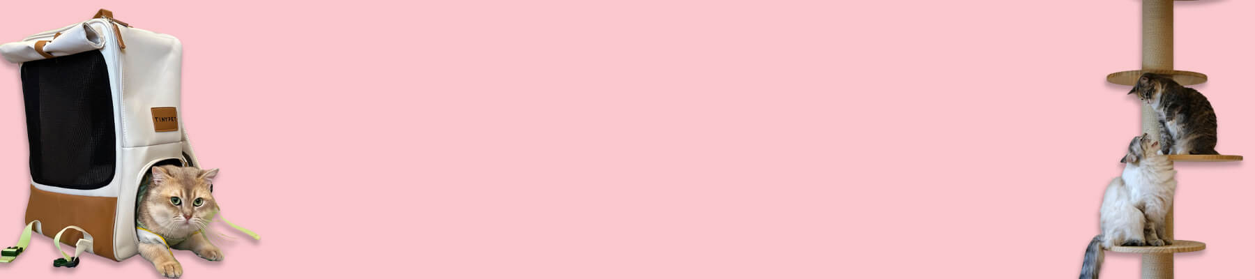 Leather Cat Carrier Collection