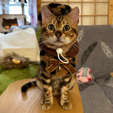 Load image into Gallery viewer, Cat in Leopard Print Cat Hat &amp; Bib | MissyMoMo
