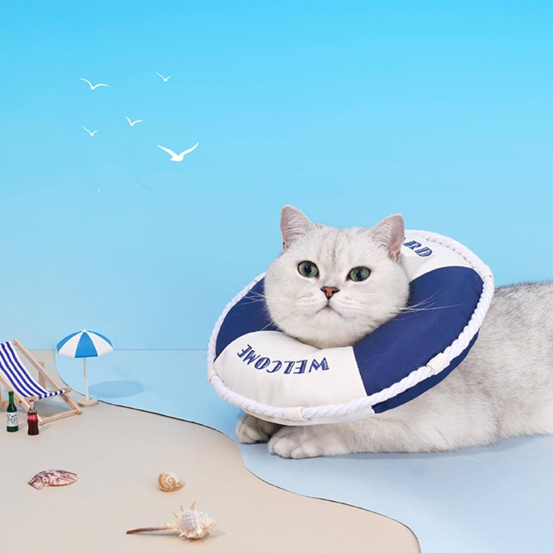 Lifebuoy Elizabethan Collar for Cats | Cat with E Collar | MissyMoMo