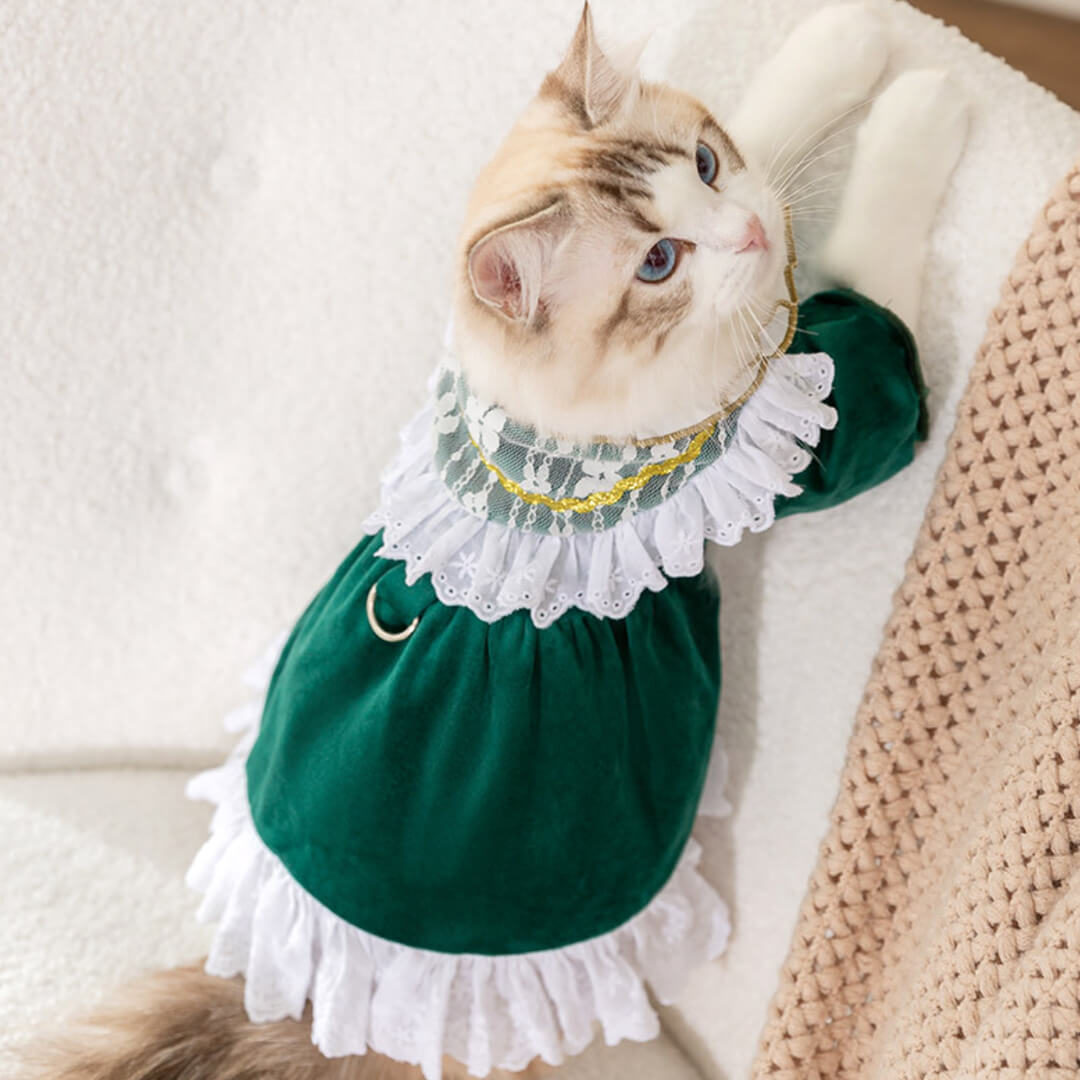 Cat in Cute Green Dress | MissyMoMo