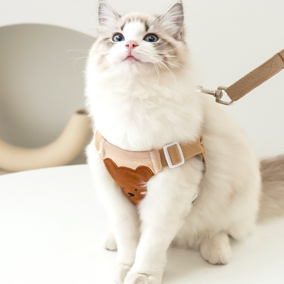 Cat Wearing Lolly Cat Harness In Beige | MissyMoMo