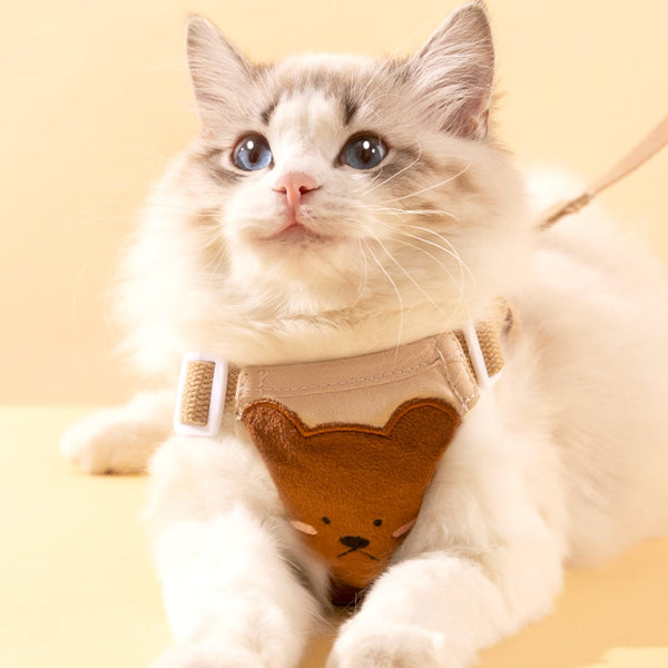 Cat Lounging In Lolly Cat Harness, Looking Adorable | MissyMoMo