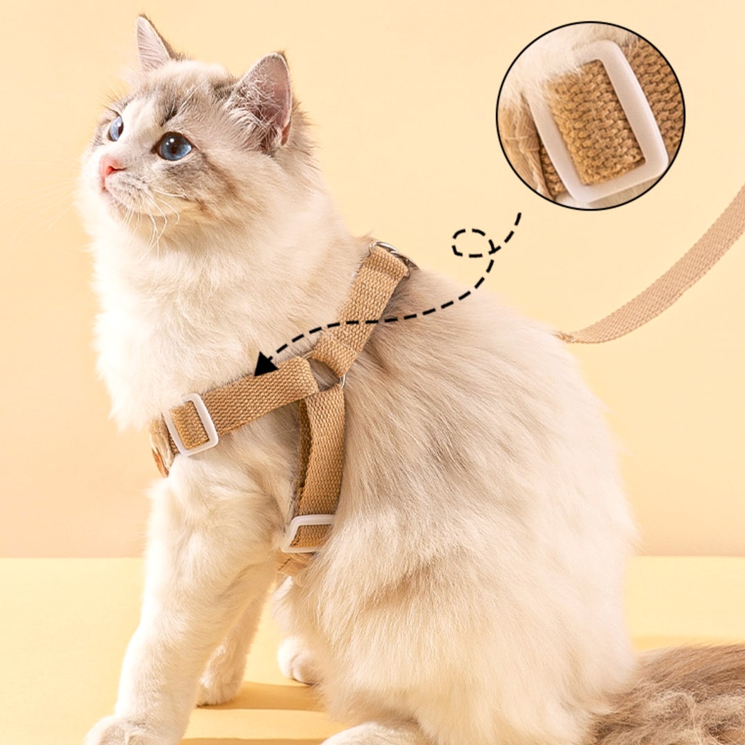 Cat Wearing Lolly Cat Harness In Beige | MissyMoMo