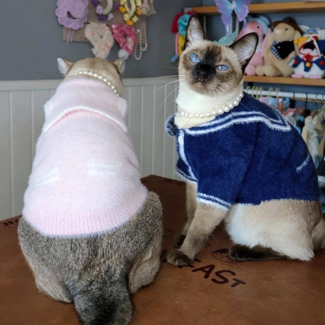 Pink And Navy Sailor Cat  Cardigans On Cats | Matching Cat Sweaters | MissyMoMo