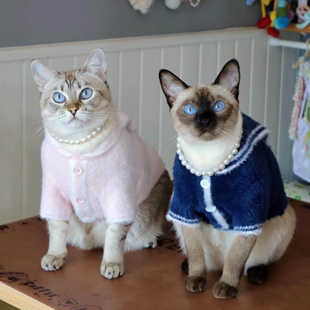 Pink And Navy Sailor Cat  Cardigans On Cats | Matching Cat Sweaters | MissyMoMo