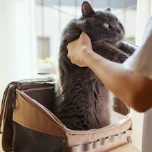 Load image into Gallery viewer, Getting a Cat Inside a Stylish Outdoor Cat Backpack | MissyMoMo
