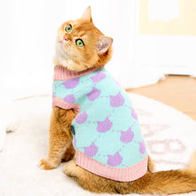 Load image into Gallery viewer, Cat in Cute Sweater | MissyMoMo
