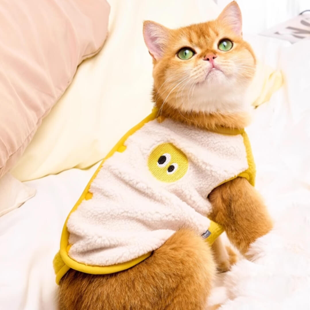 Cat in Cute Yellow Vest | MissyMoMo