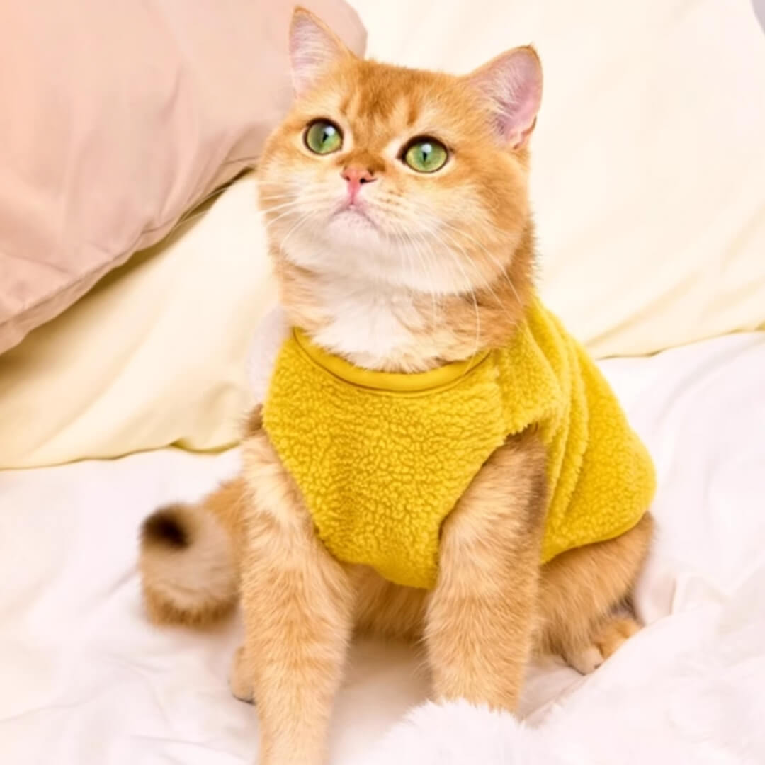 Cat in Cute Yellow Vest | MissyMoMo