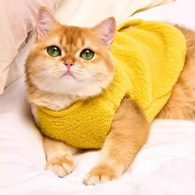 Load image into Gallery viewer, Cat in Cute Yellow Vest | MissyMoMo
