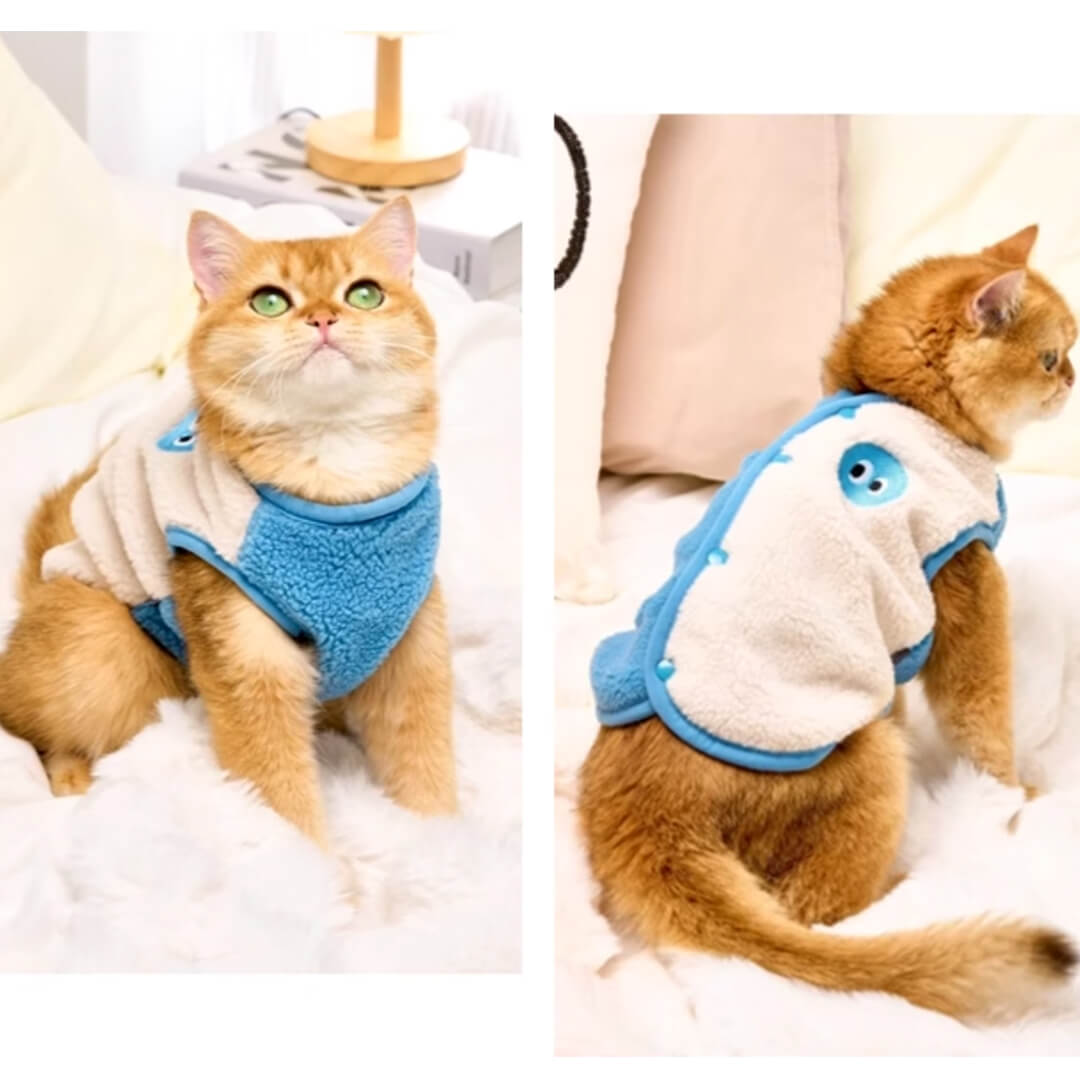 Cat in Cute Blue Vest | MissyMoMo
