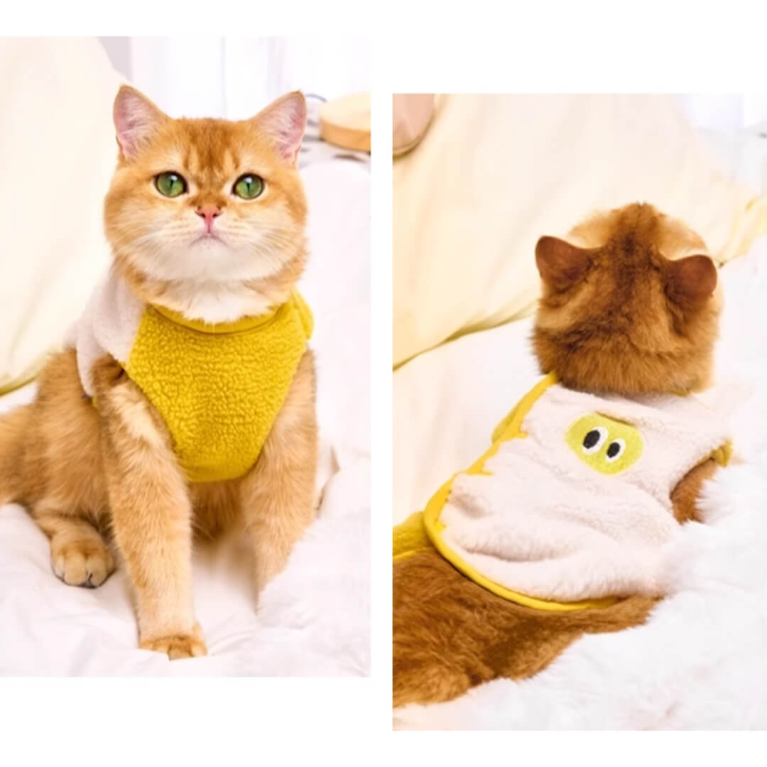 Cat in Cute Yellow Vest | MissyMoMo