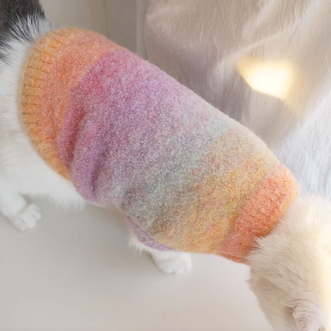 Cat in Tie-dye Sweater | MissyMoMo