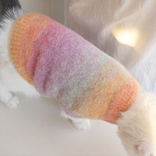 Load image into Gallery viewer, Cat in Tie-dye Sweater | MissyMoMo
