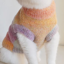 Load image into Gallery viewer, Cat in Tie-dye Sweater | MissyMoMo
