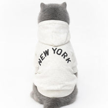 Load image into Gallery viewer, Grey British Shorthair Cat Wearing Light Grey New York Cat Hoodie | Cat Hoodie For Cats | MissyMoMo
