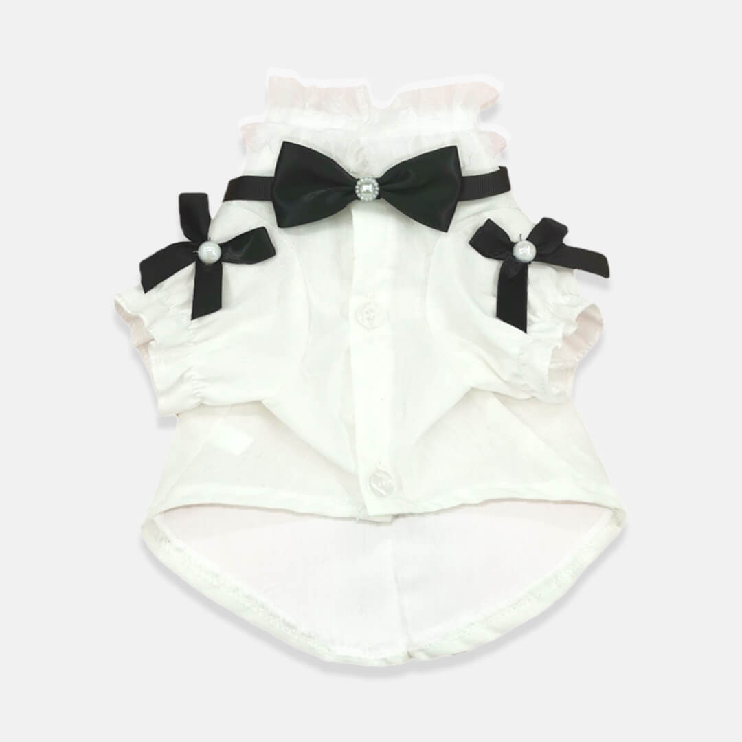 Missy Cat Shirt | Stylish Shirt for Cats & Kittens | MissyMoMo